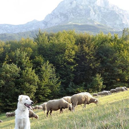 Готель Agriturismo Lu Formaggio Castelli Екстер'єр фото